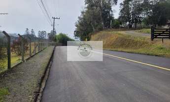 Imagem 6: Terreno com 6.000 m², frente para o asfalto, escriturado