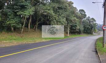 Imagem: Terreno com 6.000 m², frente para o asfalto