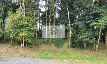 Imagem 5: Terreno com 6.000 m², frente para o asfalto, escriturado