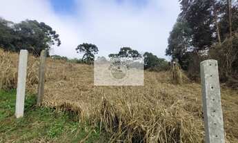 Imagem 2: Terreno com 6.000 m², frente para o asfalto, escriturado