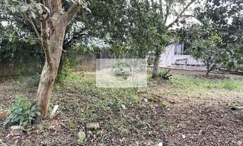 Imagem 6: Residência no Vila Nova com 4 dormitórios, amplo terreno de 1.195 m², escriturado, na Estr