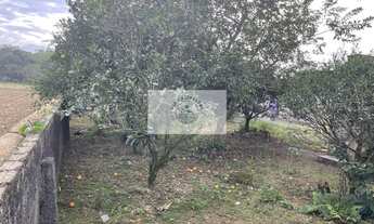 Imagem 7: Residência no Vila Nova com 4 dormitórios, amplo terreno de 1.195 m², escriturado, na Estr