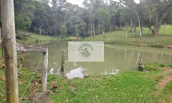 Imagem: Sítio com 30.000 m², região de Serrinha