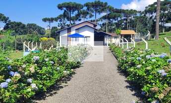 Imagem: Sítio com 7.569 m² com residência de