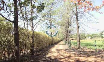 Imagem 3: Sítio Maravilhoso em Tambaú-SP