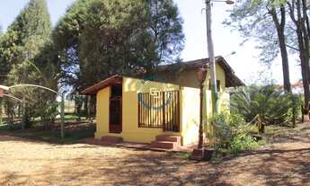 Imagem 7: Sítio Maravilhoso em Tambaú-SP