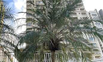 Imagem: Apartamento para locação, edifício Piazza