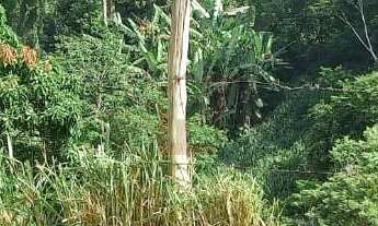 Imagem: Terreno à venda no bairro Roselândia