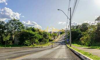 Imagem: Lote com 1.000 m ² na Alameda das Tulipas