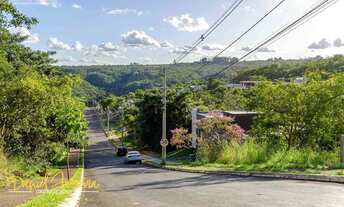 Imagem 3: Daniel Ferreira vende: Lote com 900 m², praticamente todo plano