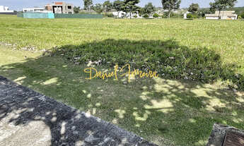 Imagem 7: ÓTIMO LOTE COM 556 M² - LOTE PLANO - CONDOMÍNIO ALPHAVILLE RESIDENCIAL I