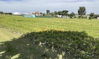 Imagem 5: ÓTIMO LOTE COM 556 M² - LOTE PLANO - CONDOMÍNIO ALPHAVILLE RESIDENCIAL I