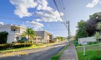 Imagem 7: Lote com topografia com leve aclive - Aceita financiamento bancário