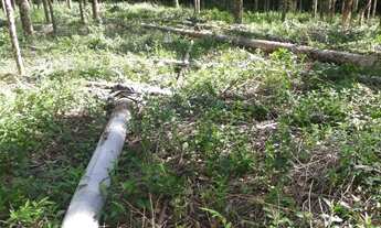 Imagem 6: Terreno de 950600m² à venda em Ibiúna - SP