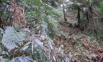 Imagem 4: Terreno de 950600m² à venda em Ibiúna - SP