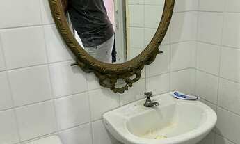 Imagem 6: Jardim das Hortênsias