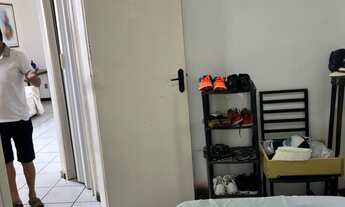 Imagem 7: Jardim das Hortênsias