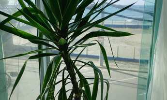 Imagem 4: Orla Center Apartamento com 2 dormitórios