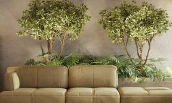 Imagem 7: Mansão Amadiz Barreto - Graça