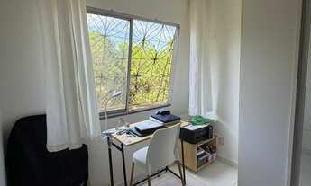 Imagem 4: Vila dos Flamboyants