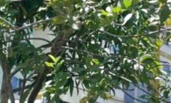 Imagem 5: Vale das Flores Apartamento com 2 dormitórios