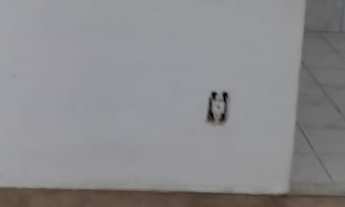 Imagem 2: Recanto das Ilhas