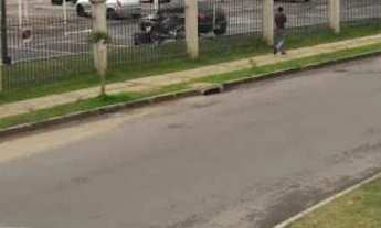 Imagem 5: APARTAMENTO ULTIMO ANDAR MOBILIADO COM.ELEVADOR