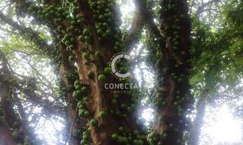 Imagem 7: Casa com edícula