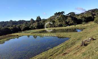 Imagem 6: Chácara com 5 tanques de peixe