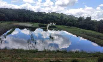 Imagem 3: Chácara com 5 tanques de peixe