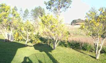 Imagem 1: Chácara em Campo das Flores, Tijucas do Sul/PR