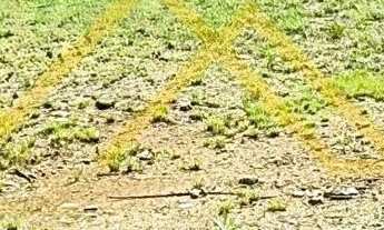 Imagem: Terreno à venda no bairro Vila Vista Alegre