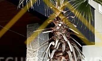 Imagem: Prado bairro cidade - Casa à venda no bairro