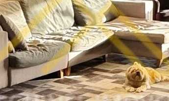 Imagem 3: Residencial Ilha Di Capri - Apartamento à venda no bairro Vila Eunice Nova - Cachoeirinha