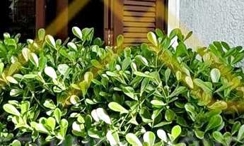 Imagem: Casa à venda no bairro Vera Cruz - Gravataí/RS