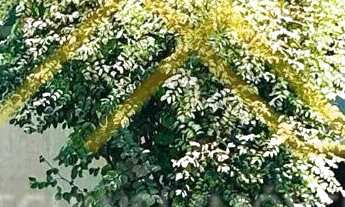 Imagem: Casa à venda no bairro Dom Feliciano