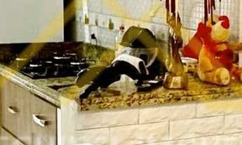 Imagem 7: Casa à venda no bairro Morada do Bosque - Cachoeirinha/RS