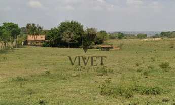 Imagem 3: Sítio no Parazinho em Conchas