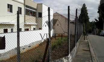 Imagem 7: Na Alameda Dos Heliotrópios