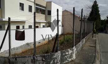 Imagem 5: Na Alameda Dos Heliotrópios