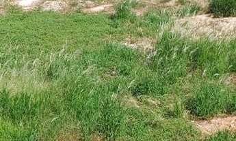 Imagem: Terreno à venda no bairro Parque das Laranjeiras