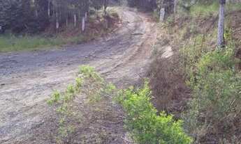 Imagem 5: Casa para alugar em Sorocaba/SP