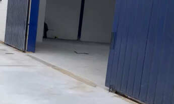 Imagem 7: Pavilhão/Galpão Industrial em Alto da Boa Vista, Sorocaba/SP