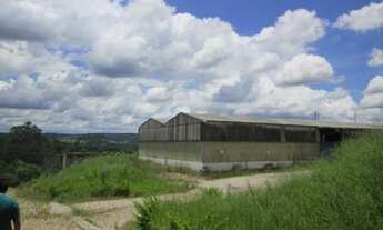 Imagem 5: Indústria para alugar em Sorocaba/SP