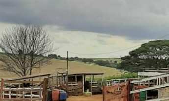 Imagem: Fazenda em Cambé, excelente localização