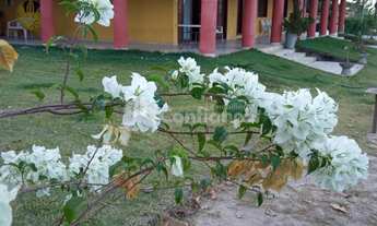 Imagem: Sitio à Venda em Caucaia no Coité Pedreiras