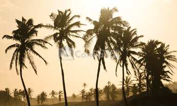 Imagem: Loteamento Fechado a Venda na Barra do Cauípe
