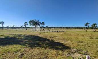 Imagem 7: Lote à Venda em Loteamento Alto Padrão - Caucaia Em frente ao Atacadão