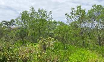 Imagem 7: Lote próximo ao centrinho do Rosa