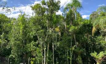 Imagem 2: Sítio à venda no bairro Figueira Grande - Imaruí/SC